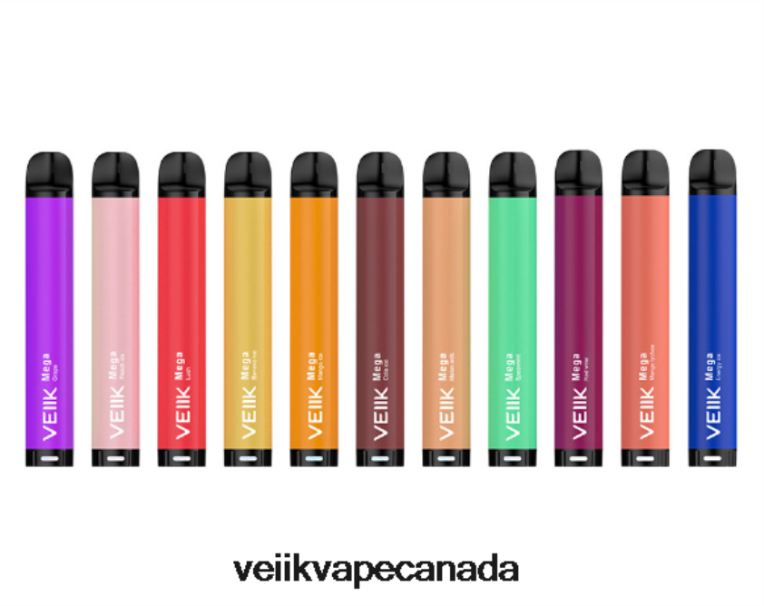 VEIIK Micko Mega Disposable Vape 800 Puffs 500mAh P448PN59 Multiple Flavors - VEIIK Vape Canada