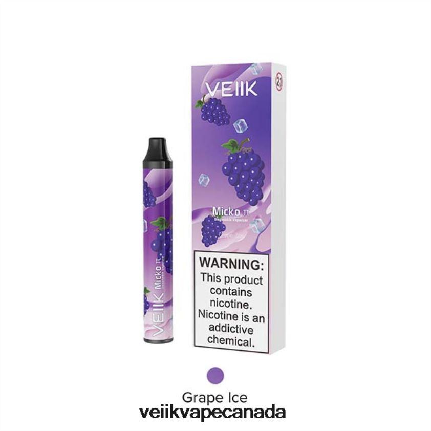 VEIIK Micko Pie Disposable Vape 600 Puffs P448PN18 Grape Ice - VEIIK Micko Q Canada