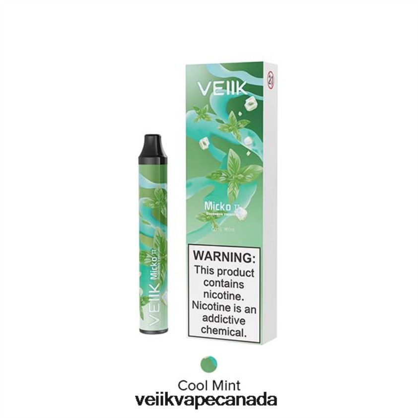 VEIIK Micko Pie Disposable Vape 600 Puffs P448PN22 Cool Mint - VEIIK Vape Price