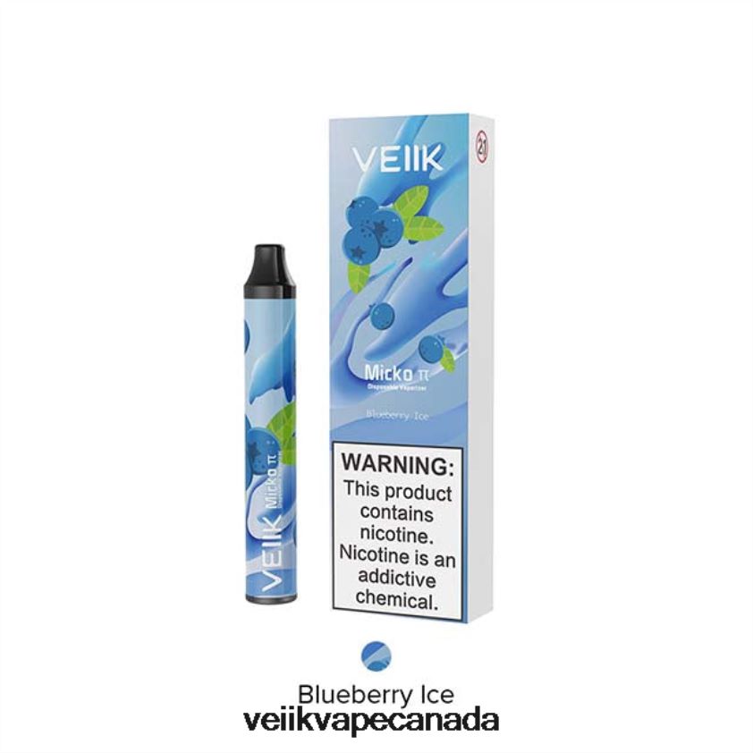 VEIIK Micko Pie Disposable Vape 600 Puffs P448PN24 Blueberry Ice - VEIIK E Liquid Canada