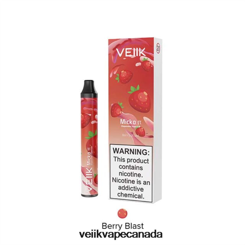 VEIIK Micko Pie Disposable Vape 600 Puffs P448PN26 Berry Blast - VEIIK Airo Refillable Pod