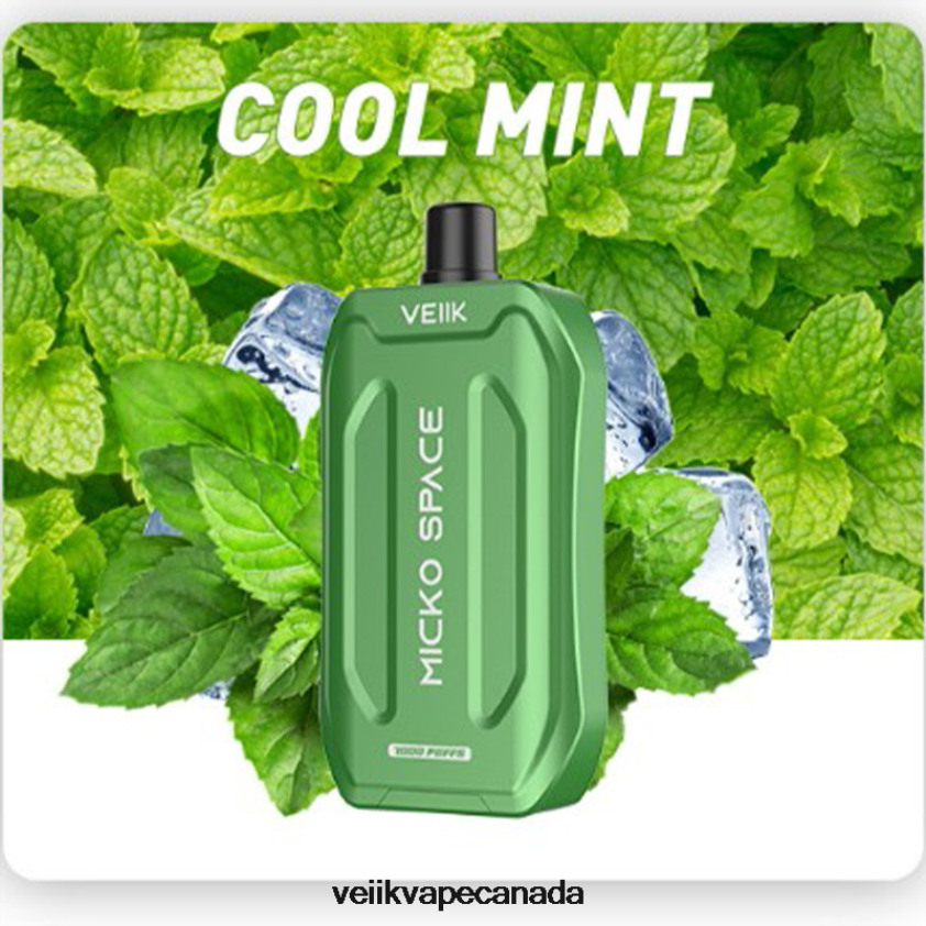 VEIIK Micko Space Disposable Vape 7000 Puffs P448PN36 Cool Mint - VEIIK Airo Refillable Pod
