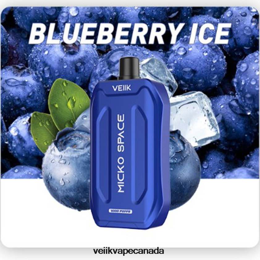 VEIIK Micko Space Disposable Vape 7000 Puffs P448PN38 Blueberry Ice - VEIIK Micko Q Canada