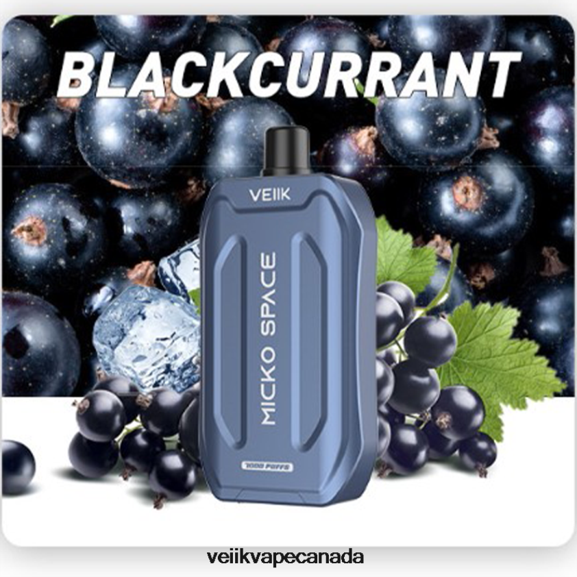 VEIIK Micko Space Disposable Vape 7000 Puffs P448PN41 Blackcurrant - VEIIK Vape Toronto